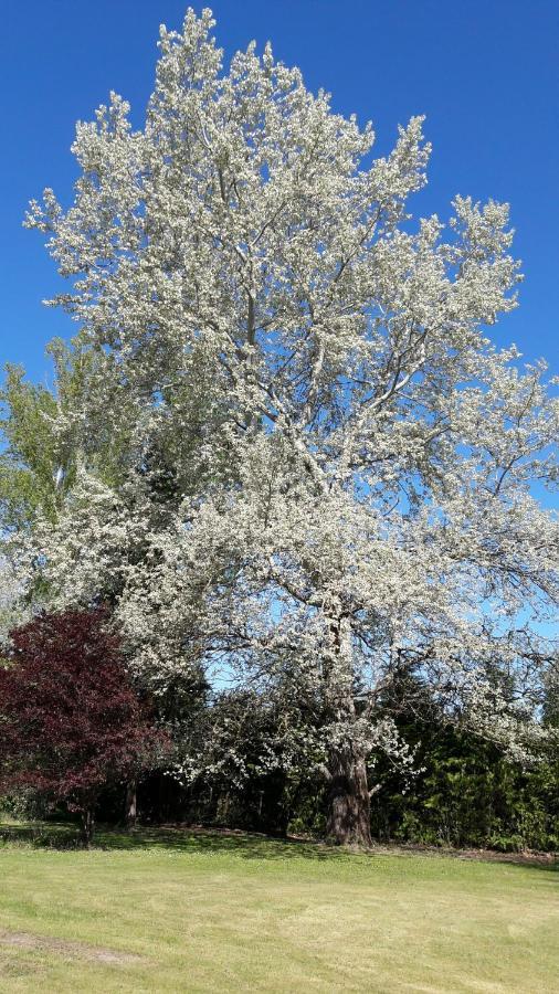 Chambres D'Hotes Le Muguet Mandacou Bagian luar foto